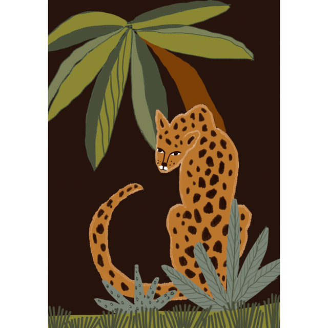 Cheetah