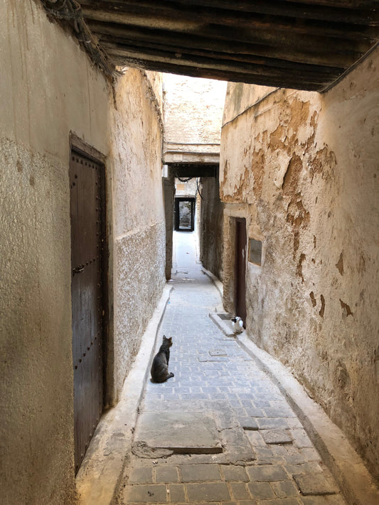 Morocco Through My Eyes: The Journey That Changed My Palette Forever